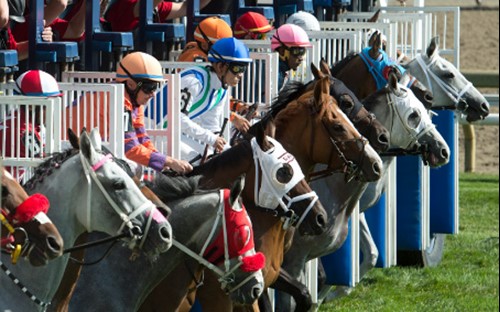 img-fluid w-100 Woodbine Entertainment Group